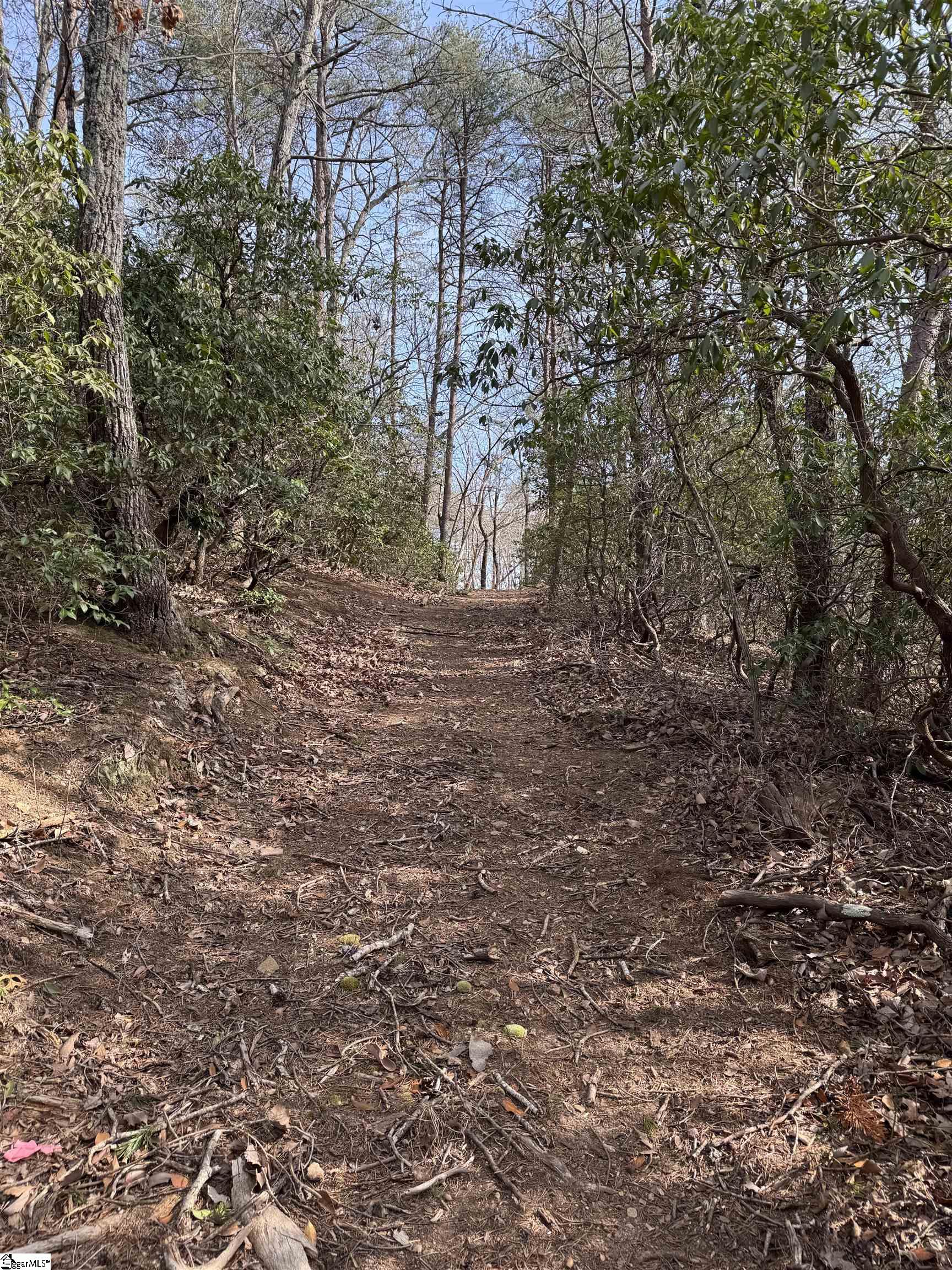 Butter Street Landrum, SC 29356 - Photo 16 of 19