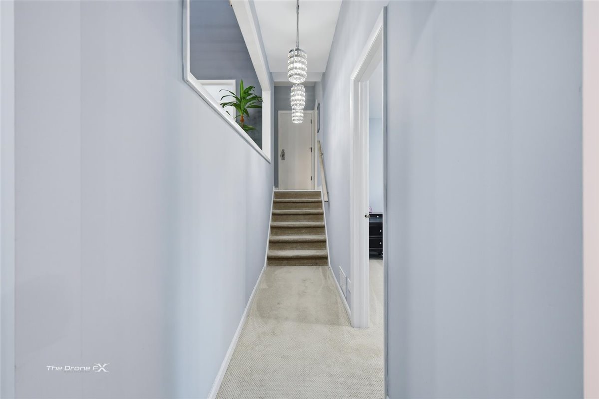 27-w041 Walz Way Wheaton, IL 60189 - Photo 39 of 60