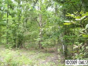 10988 Busbin Road Mount Pleasant, NC 28124 - Photo 5 of 8 Gallery Image 5
