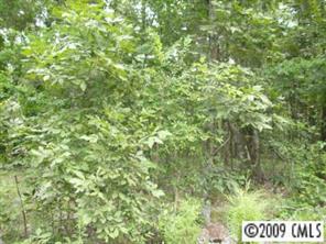 10988 Busbin Road Mount Pleasant, NC 28124 - Photo 7 of 8 Gallery Image 7