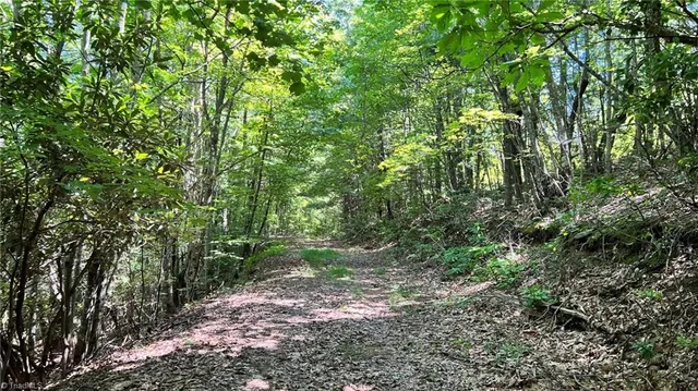 $397,375 | Tbd2 Ole Barlowe Place, Lenoir, NC 28645