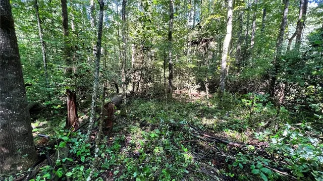 $397,375 | Tbd2 Ole Barlowe Place, Lenoir, NC 28645