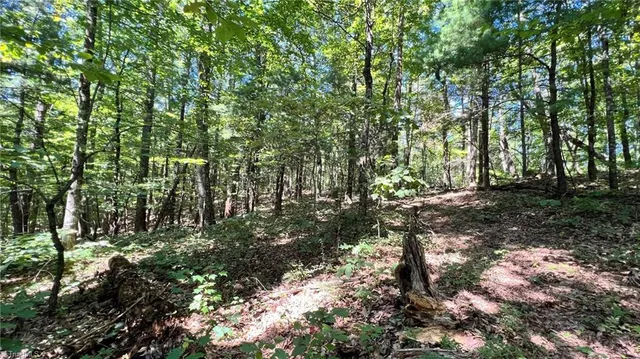 $397,375 | Tbd2 Ole Barlowe Place, Lenoir, NC 28645
