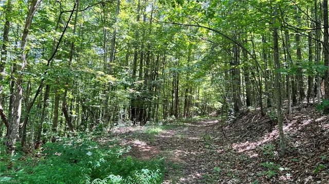 $397,375 | Tbd2 Ole Barlowe Place, Lenoir, NC 28645