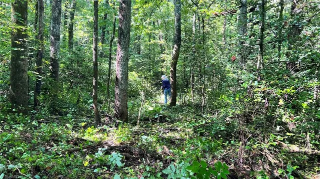 $397,375 | Tbd2 Ole Barlowe Place, Lenoir, NC 28645