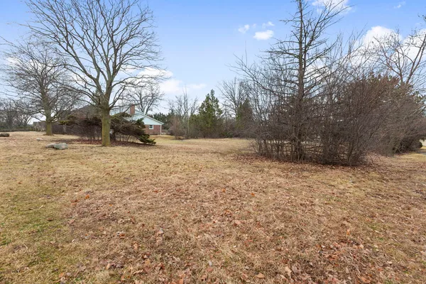 a view of yard with large tree and wooden fence