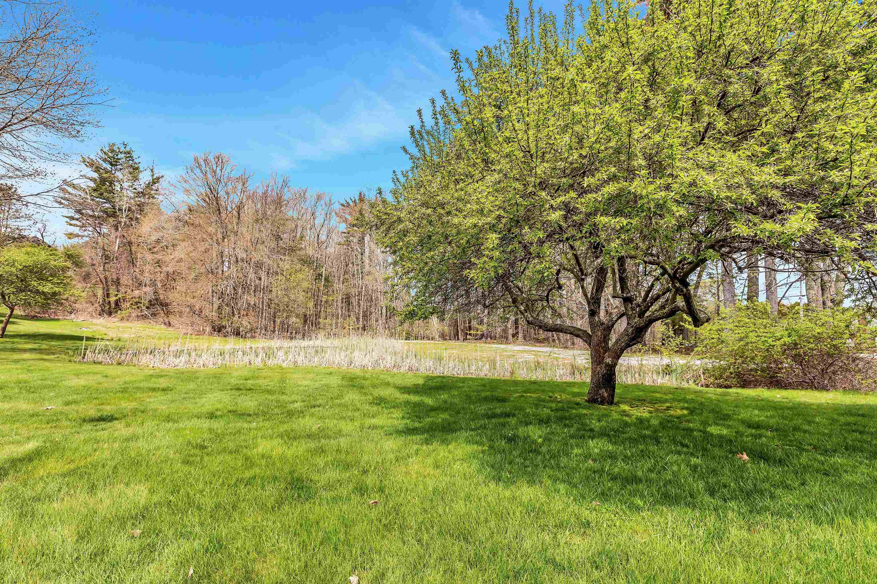 44 Thornhill Road Stratham, NH 03885 - Photo 30 of 36