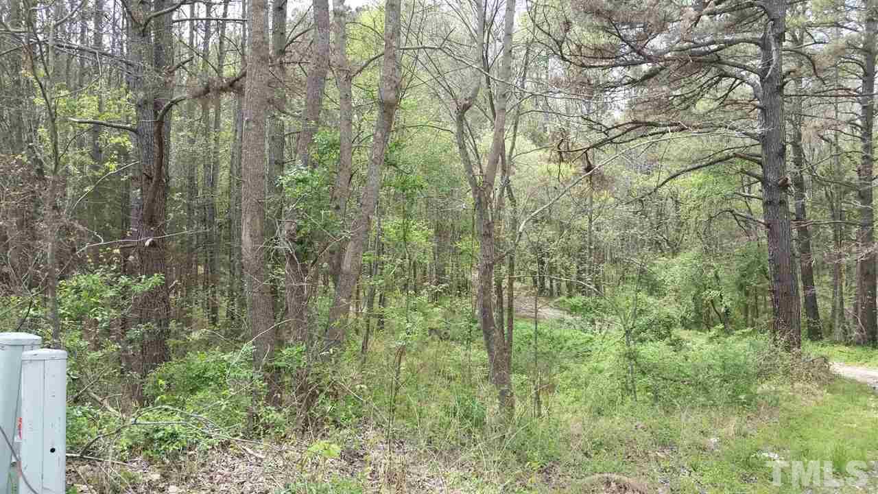 2125 Lizard Lick Road Wendell, NC 27591 - Photo 3 of 6