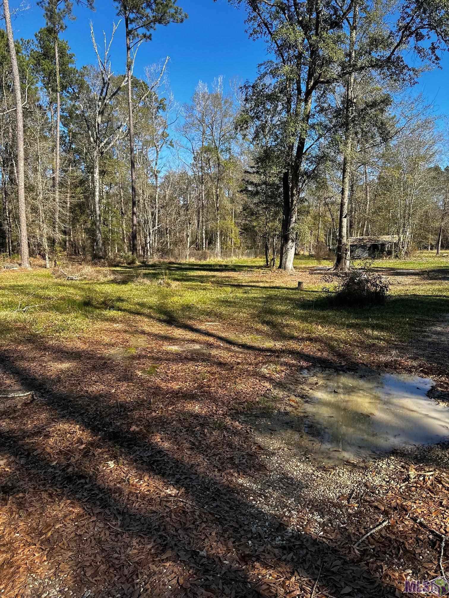 25066 Lobell Road Livingston, LA 70754 - Photo 2 of 4