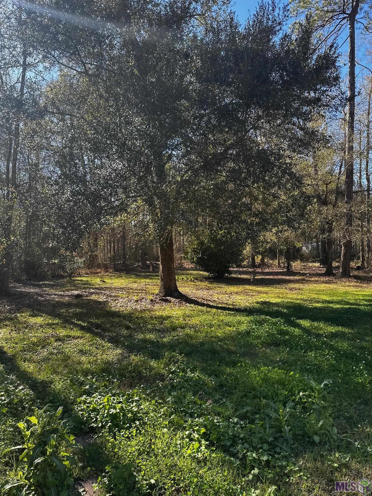 25066 Lobell Road Livingston, LA 70754 - Photo 3 of 4