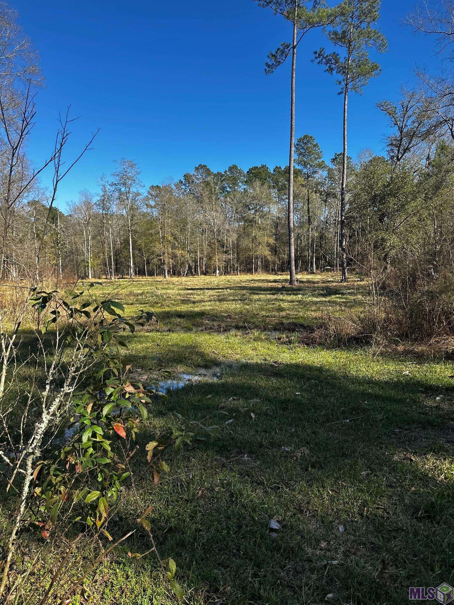 25066 Lobell Road Livingston, LA 70754 - Photo 4 of 4