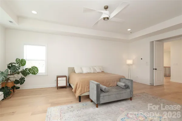 a bedroom with furniture and a potted plant