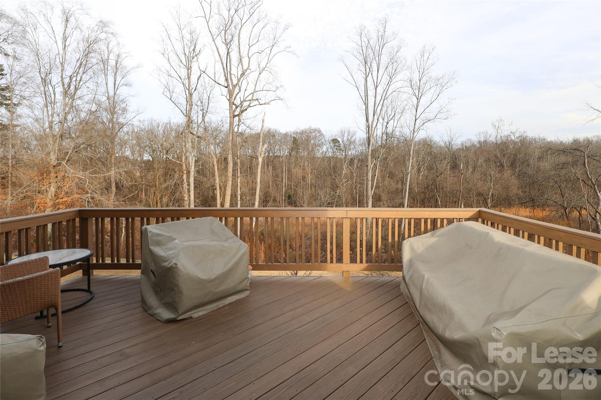 14721 Keyes Meadow Way Huntersville, NC 28078 - Photo 44 of 48