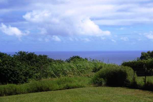 95 A Kawelo Road Haiku, HI 96708 - Photo 3 of 7 a view of a city with lush green forest
