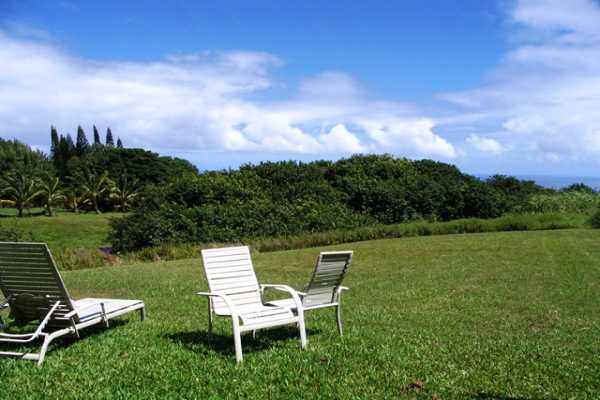 95 A Kawelo Road Haiku, HI 96708 - Photo 4 of 7 a view of a table and chairs in the garden