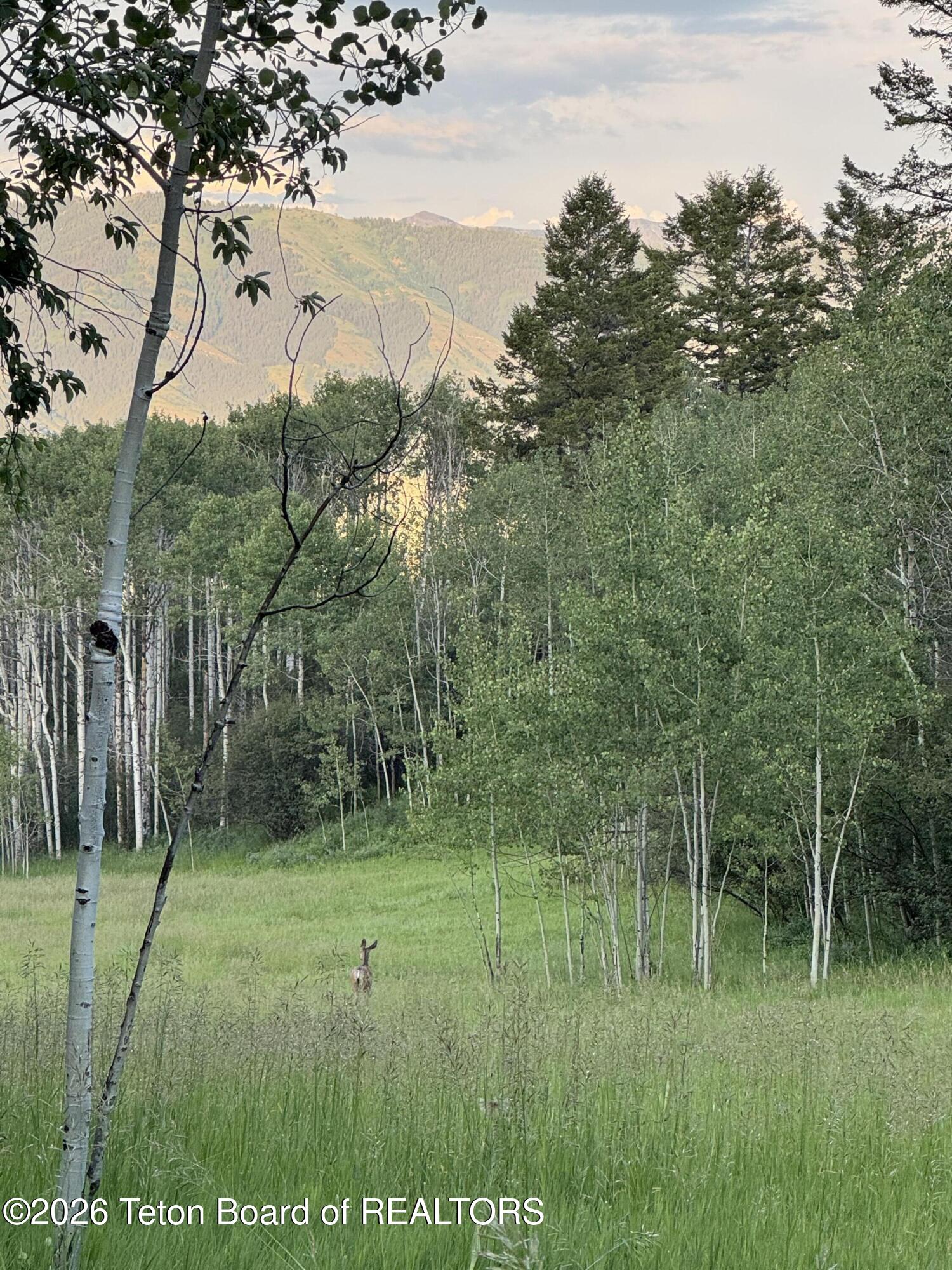 2035 Stump Creek Road Auburn, WY 83111 - Photo 14 of 15 IMG_6504