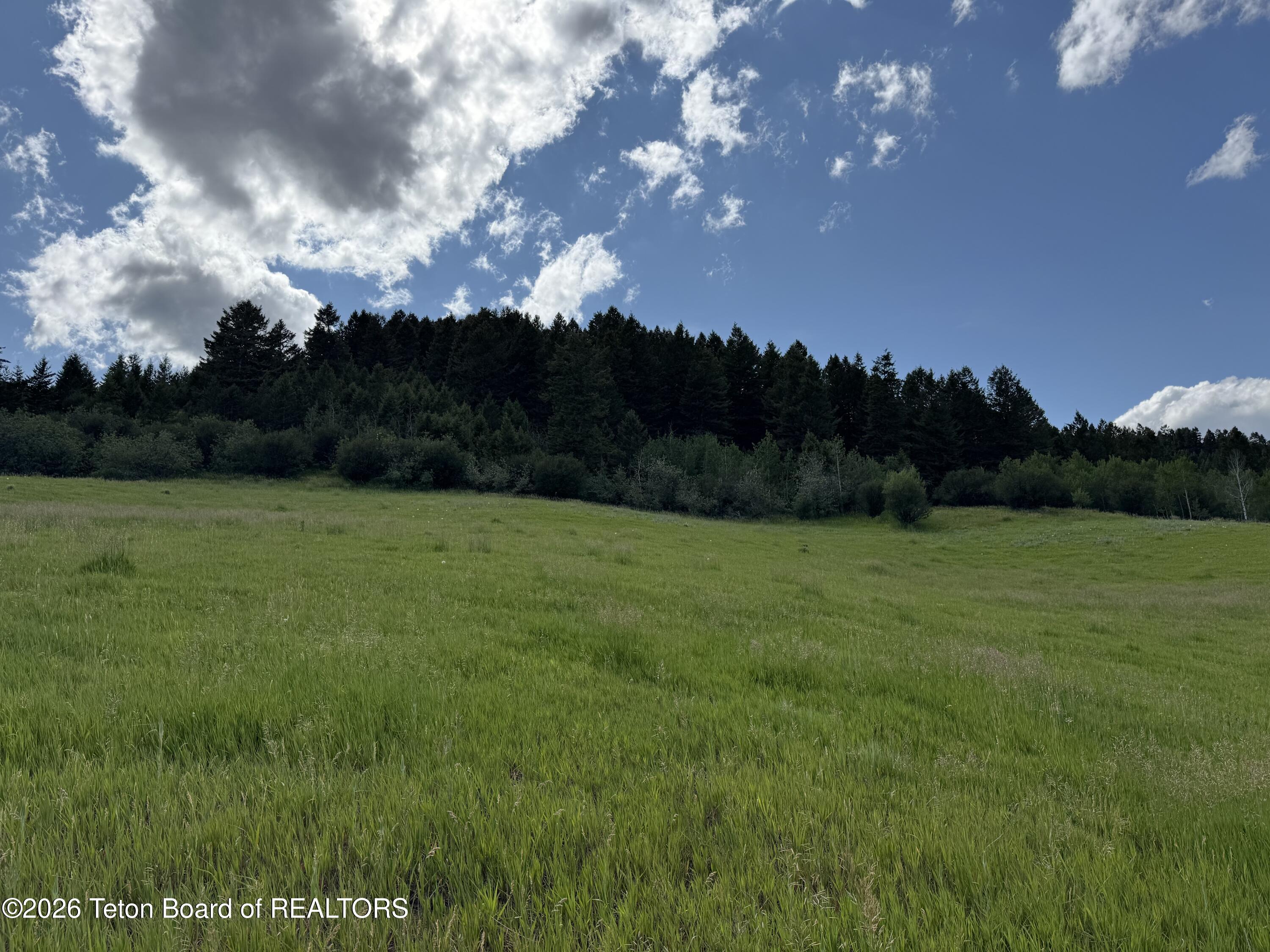 2035 Stump Creek Road Auburn, WY 83111 - Photo 5 of 15 IMG_6478