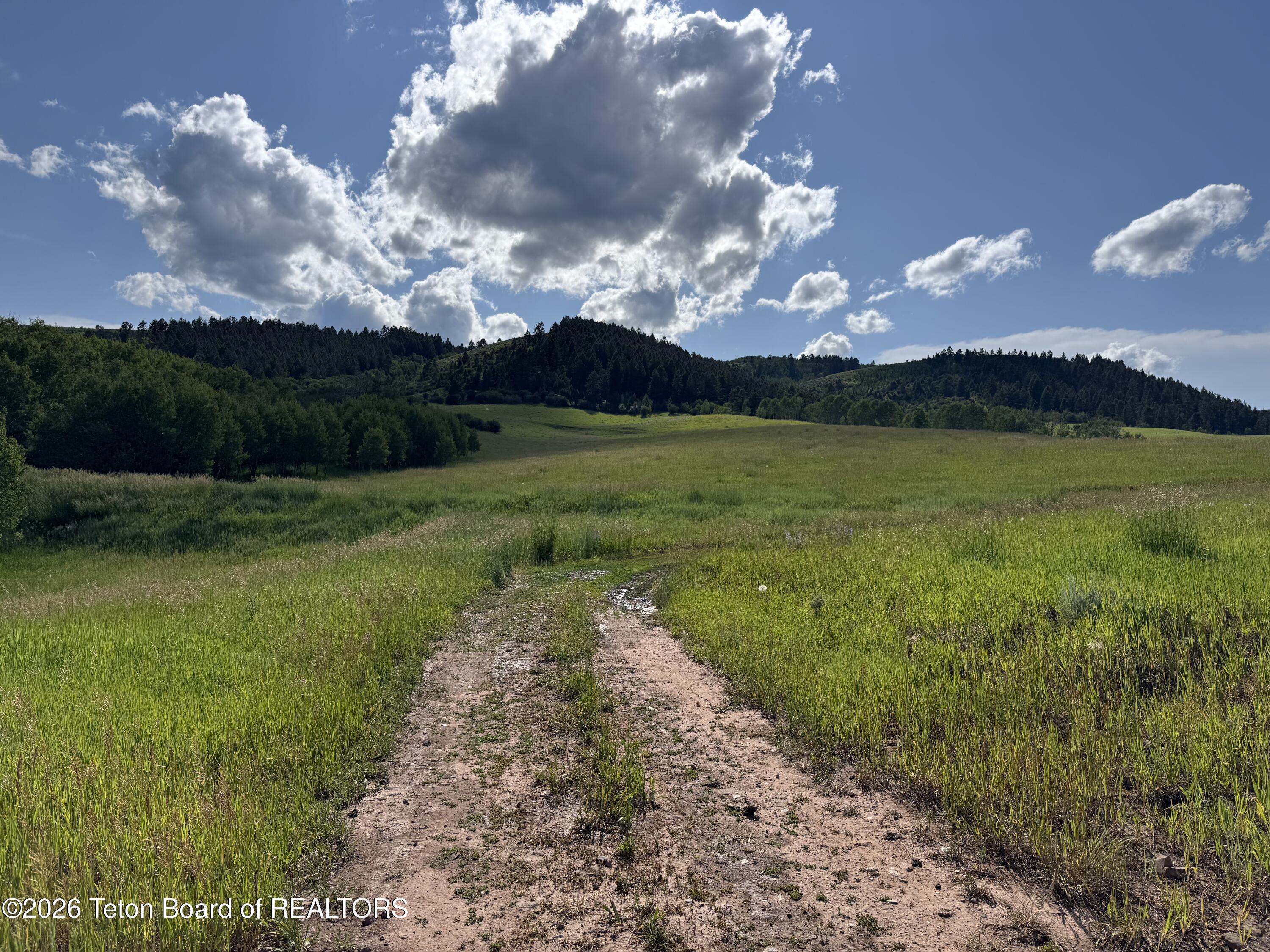 2035 Stump Creek Road Auburn, WY 83111 - Photo 10 of 15 IMG_6495