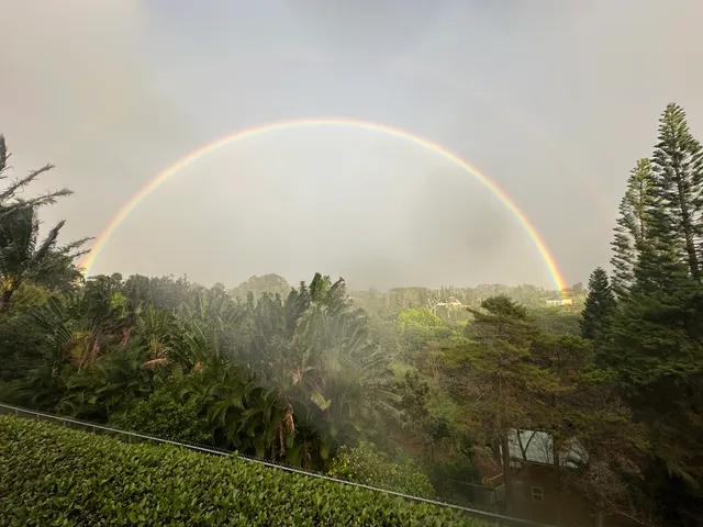 a front view of a house with garden and porch