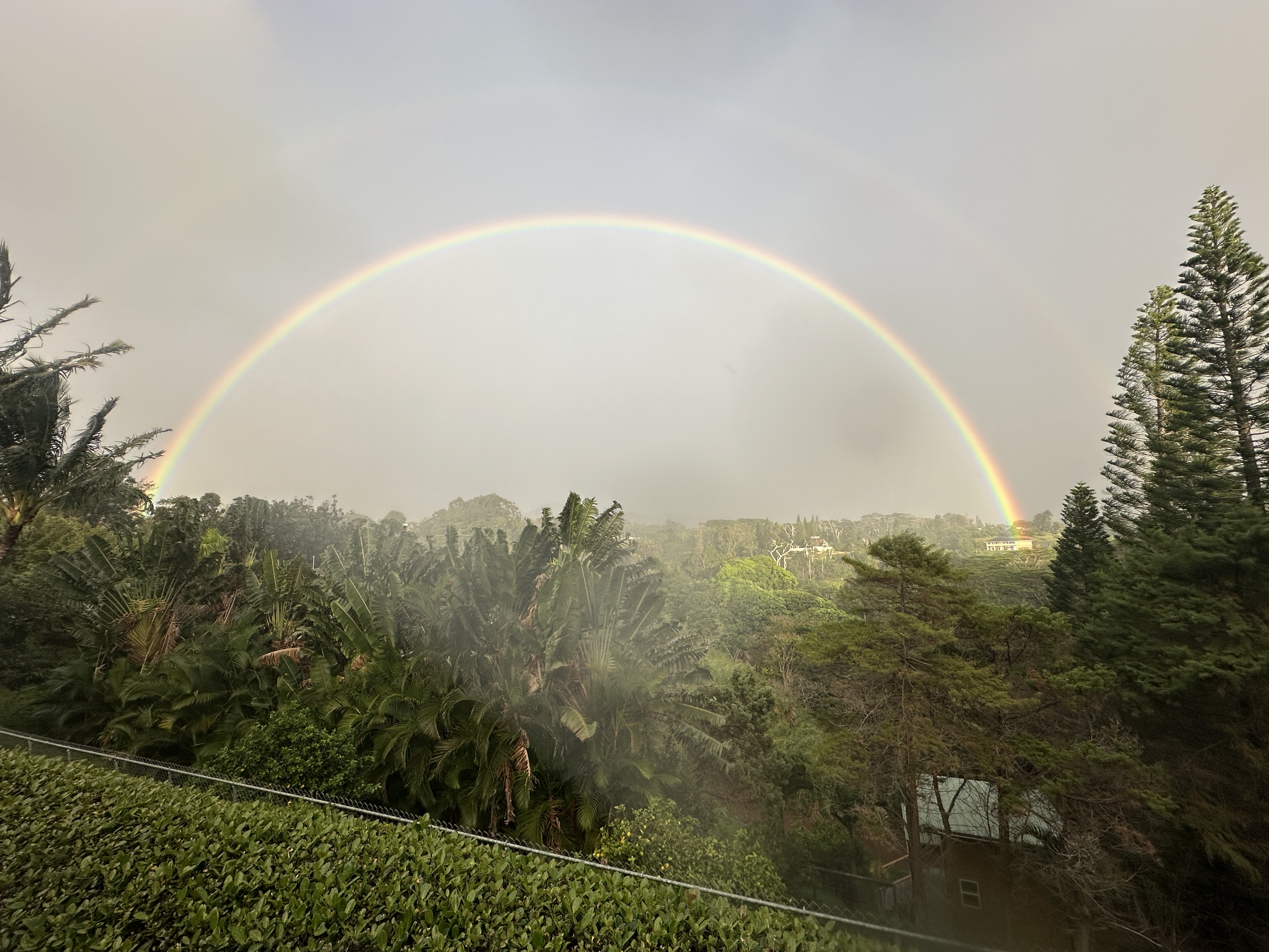 4685 Kuli Road Kalaheo, HI 96741 - Photo 2 of 30