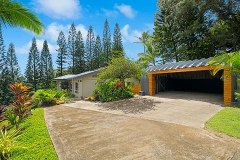 a view of a big yard with plants and large trees