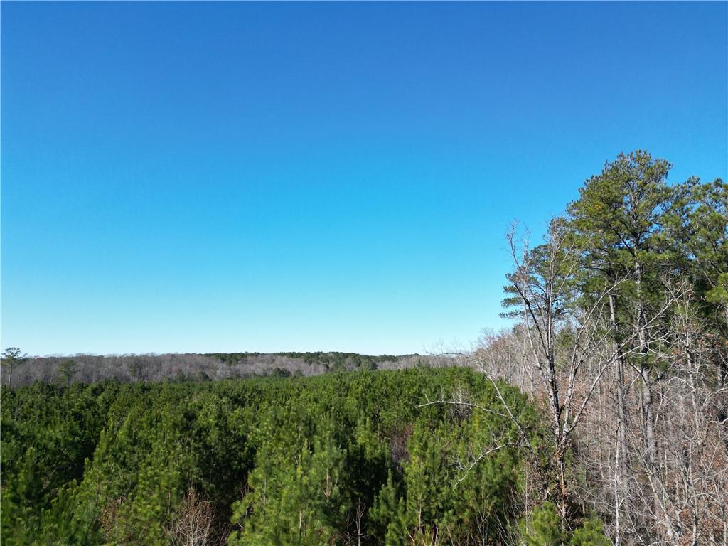 0 Jaudon Road Elberton, GA 30635 - Photo 5 of 7