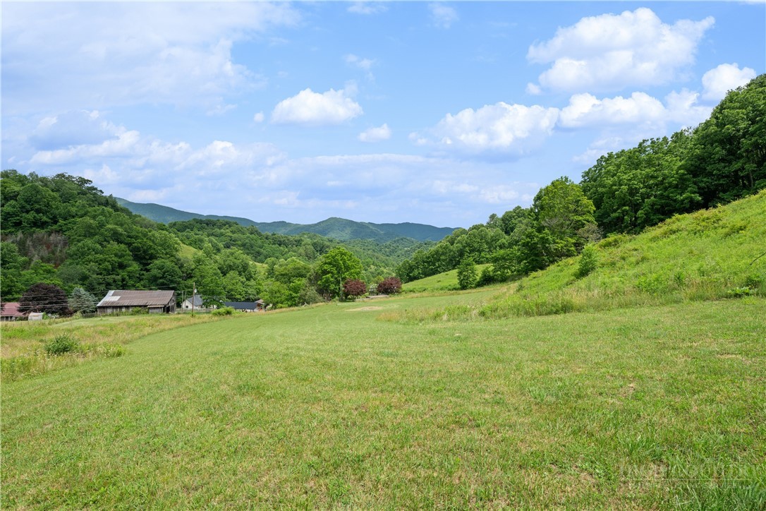 709 Fletcher Branch Road Vilas, NC 28692 - Photo 5 of 50