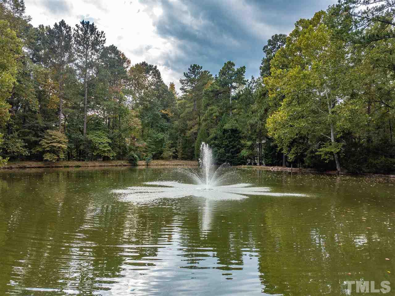 2008 Prescott Place Raleigh, NC 27615 - Photo 7 of 30 a view of a lake view