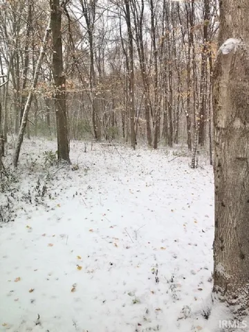 $125,000 | 235 North Corporation Line Road, Veedersburg, IN 47987