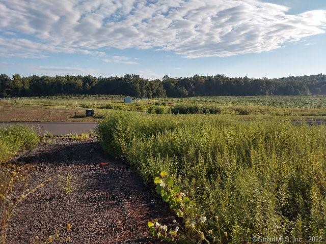 a view of a lake with houses in the back