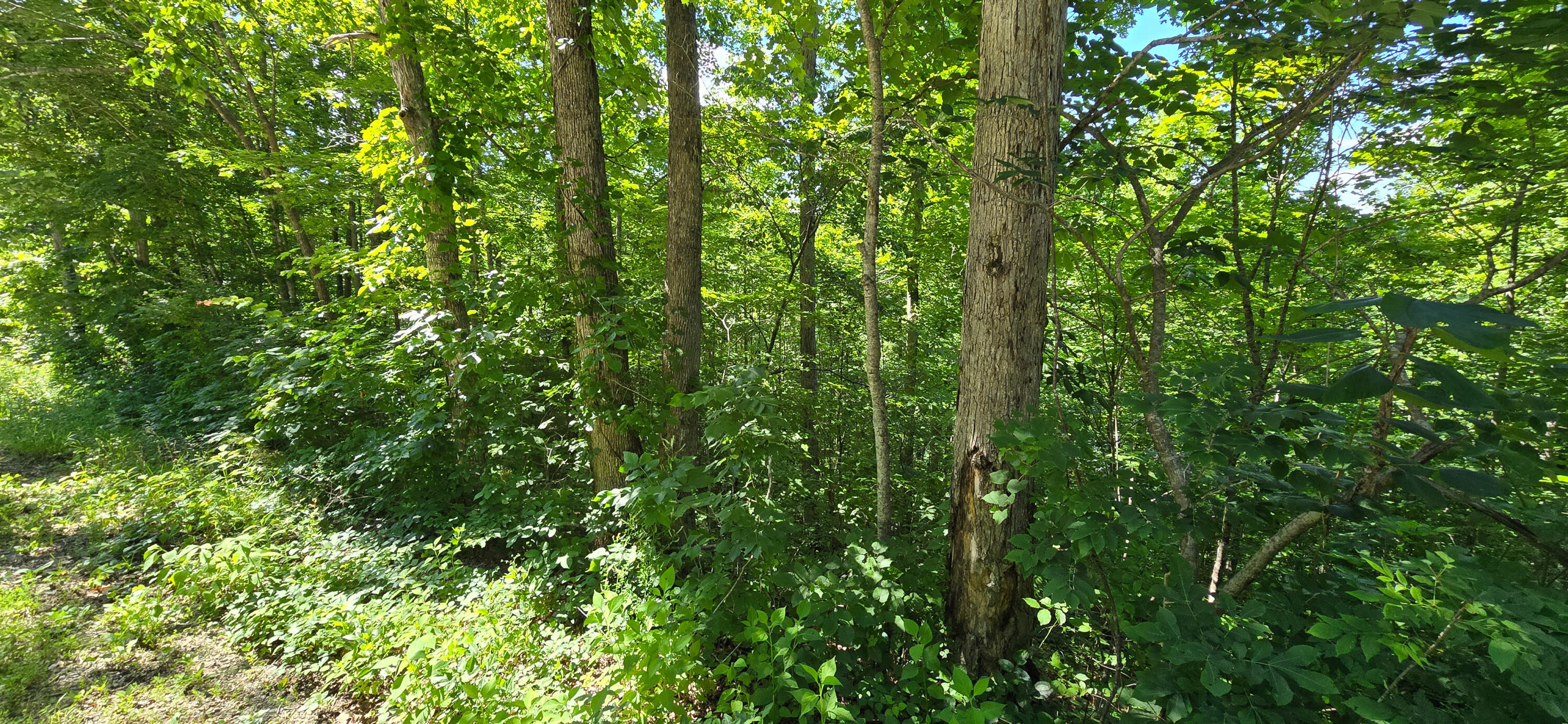 2082 Roberts Bend Road Burnside, KY 42519 - Photo 4 of 4 photo4