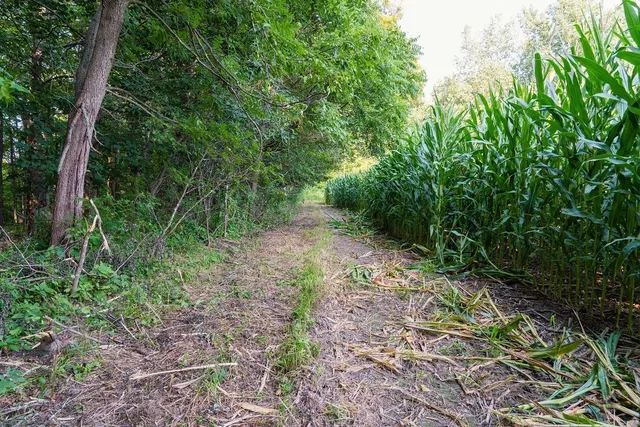 $495,000 | 0 420th Avenue, Menomonie, WI 54751