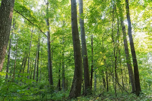 $495,000 | 0 420th Avenue, Menomonie, WI 54751