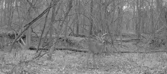 $495,000 | 0 420th Avenue, Menomonie, WI 54751