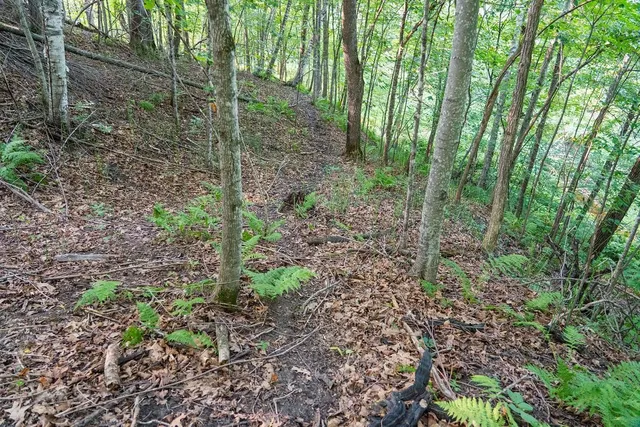 $495,000 | 0 420th Avenue, Menomonie, WI 54751