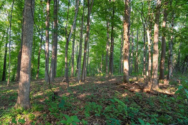 $495,000 | 0 420th Avenue, Menomonie, WI 54751