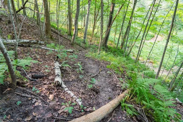 $495,000 | 0 420th Avenue, Menomonie, WI 54751