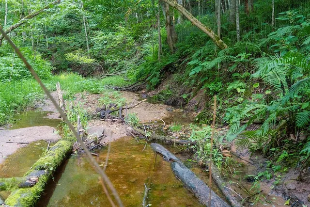 $495,000 | 0 420th Avenue, Menomonie, WI 54751