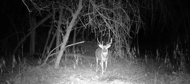 $495,000 | 0 420th Avenue, Menomonie, WI 54751