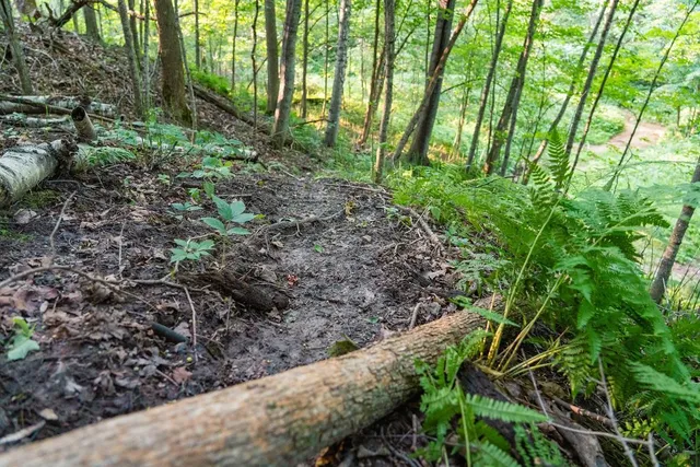 $495,000 | 0 420th Avenue, Menomonie, WI 54751