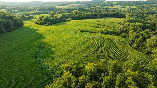 $495,000 | 0 420th Avenue, Menomonie, WI 54751