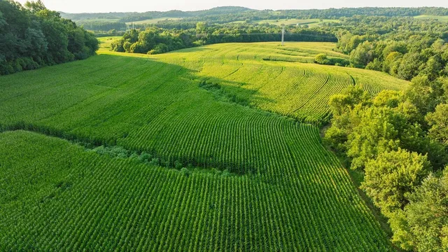 $495,000 | 0 420th Avenue, Menomonie, WI 54751