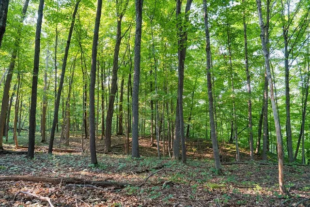 $495,000 | 0 420th Avenue, Menomonie, WI 54751