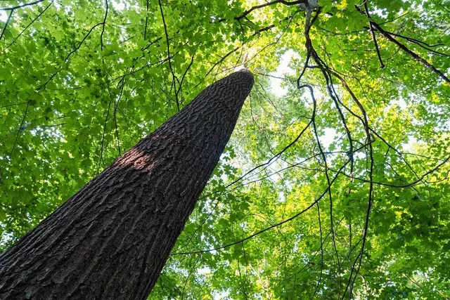 $495,000 | 0 420th Avenue, Menomonie, WI 54751