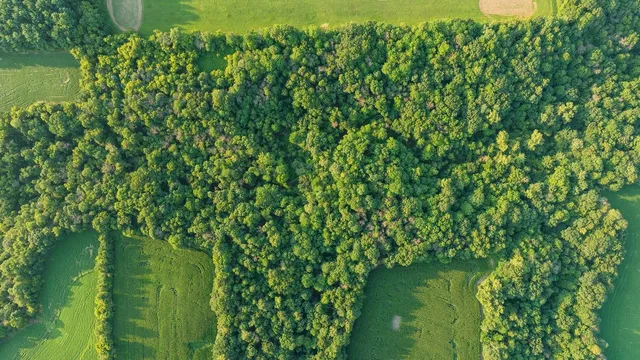 $495,000 | 0 420th Avenue, Menomonie, WI 54751