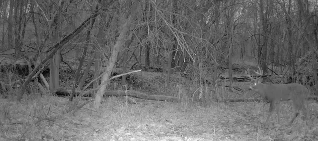 $495,000 | 0 420th Avenue, Menomonie, WI 54751