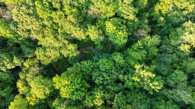 $495,000 | 0 420th Avenue, Menomonie, WI 54751