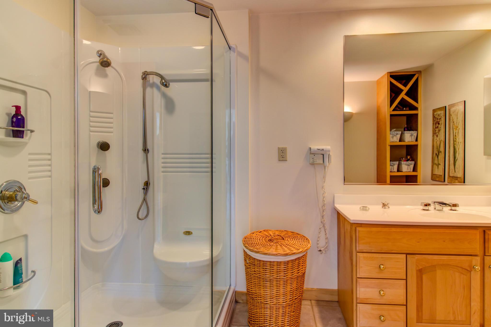 824 Monroe Manor Road Stevensville, MD 21619 - Photo 16 of 28 Bath (Master)