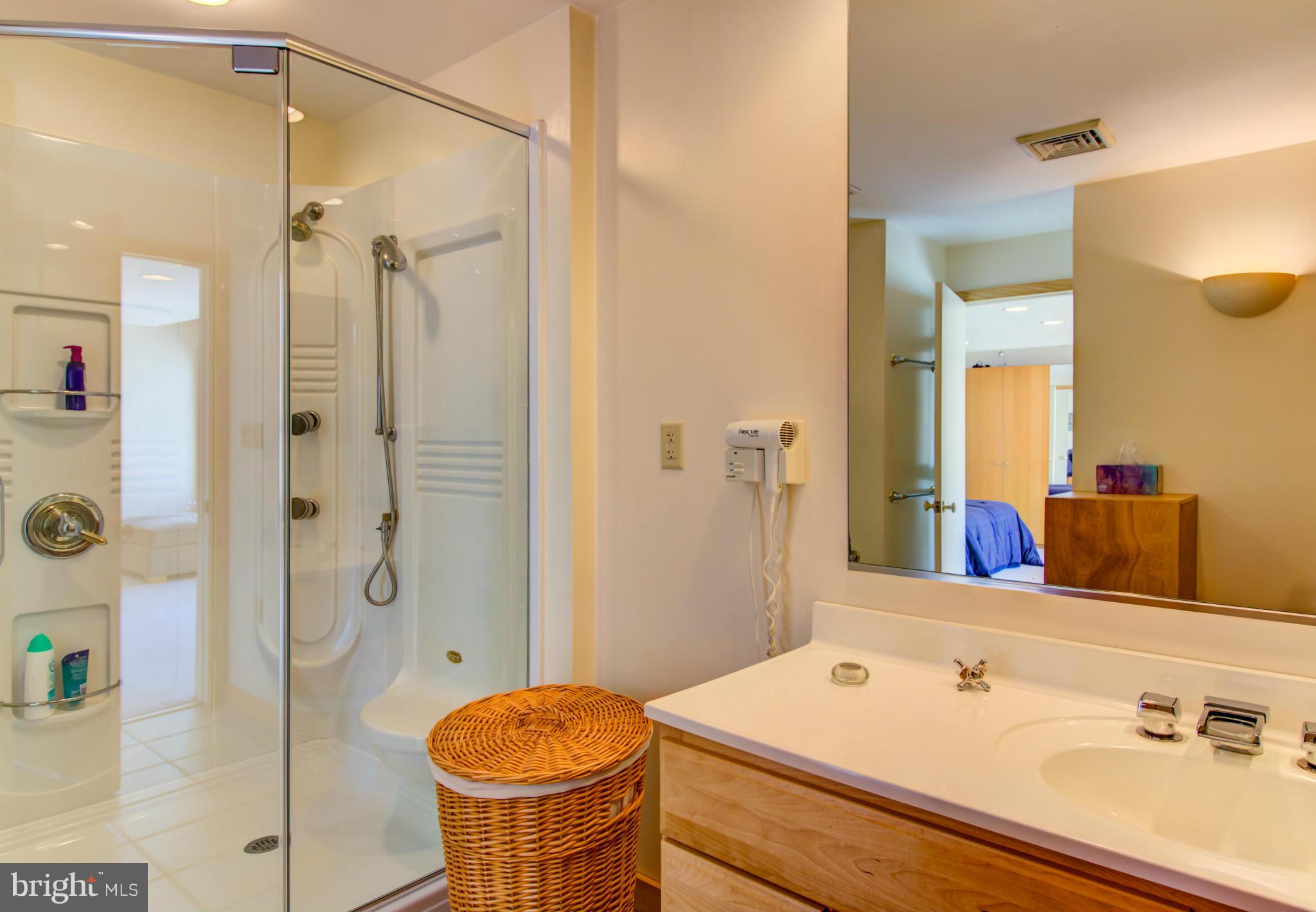 824 Monroe Manor Road Stevensville, MD 21619 - Photo 17 of 28 Bath (Master)