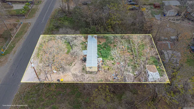 a close up of a plant in a garden